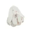 Lapin