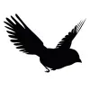 Petit oiseau