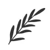 Plante