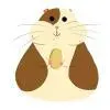 Animal06
