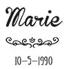 Mod&egrave;le 1