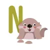 N