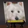 Cadeaux avec photos: Carreaux personnalis&eacute;s