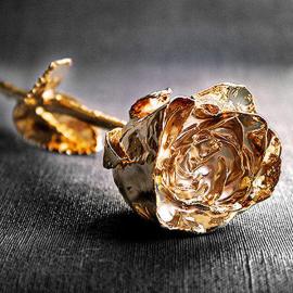 Rose en or gravée