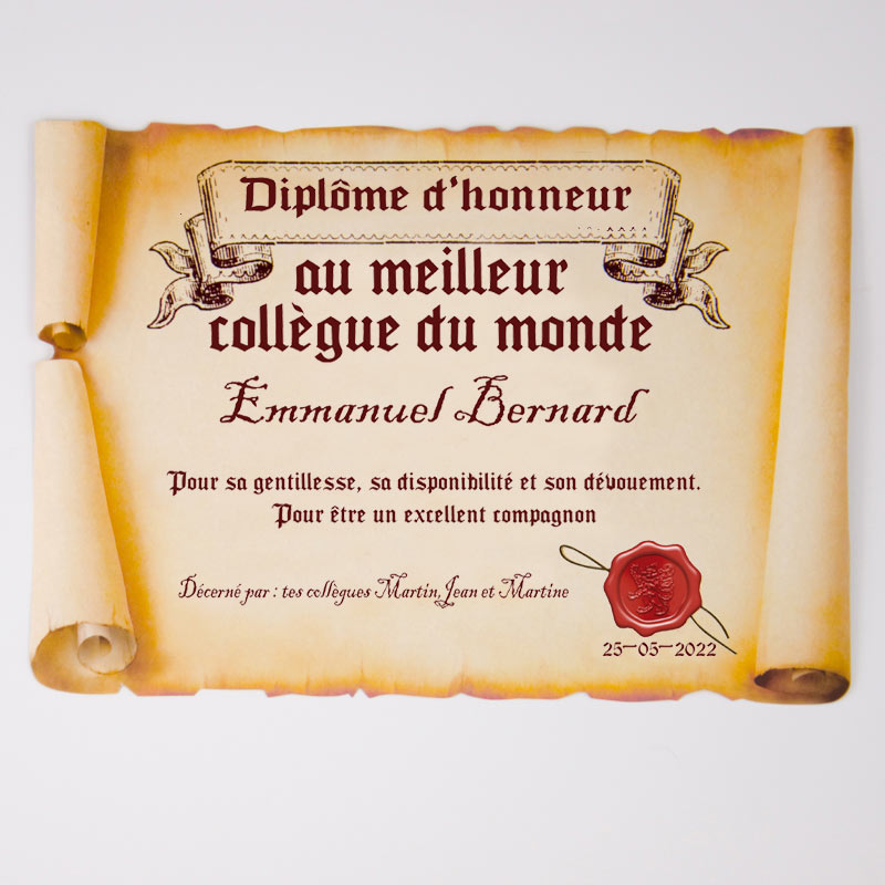 Idée cadeau collègue Affiche diplôme le meilleur collègue Choix du format  Vendu sans le cadre cadeau collègue -  France